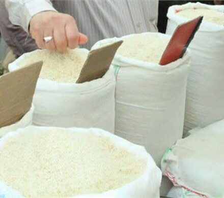 وزیر جهاد کشاورزی: خرید برنج باقیمانده کشاورزان گیلان آغاز شد