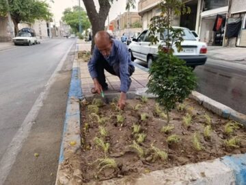 آغاز طراوت و زیبایی با کاشت گل های فصلی تابستانه در فضای سبز سطح شهر توسط تلاشگران اداره سیما، منظر و فضای سبز شهری شهرداری شوشتر