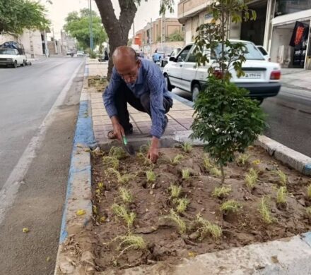 آغاز طراوت و زیبایی با کاشت گل های فصلی تابستانه در فضای سبز سطح شهر توسط تلاشگران اداره سیما، منظر و فضای سبز شهری شهرداری شوشتر