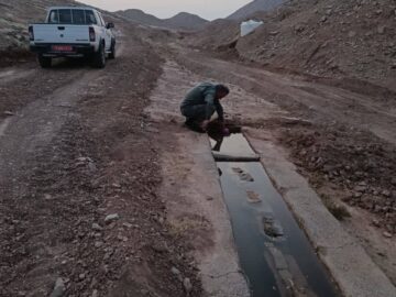 احیای آبشخور در منطقه نفت سفید