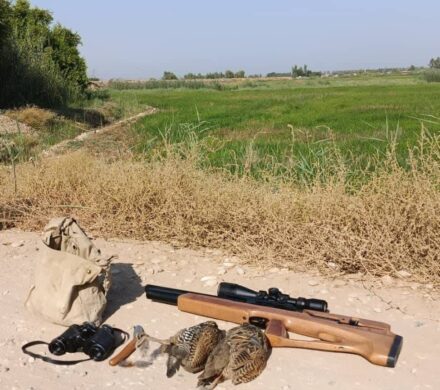 دستگیری متخلفان شکار دراج در حاشیه کانال روستای تبتی شوشتر