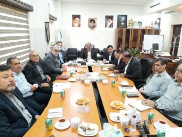 دادستان مرکز خوزستان: طرح‌های بیابان‌زدایی برای مهار ریزگردها ضروری است