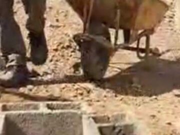 احداث آبشخور حیات وحش به همت انجمن دیده بان جلگه سبز خوزستان