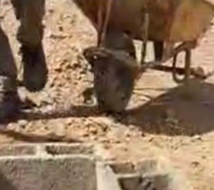 احداث آبشخور حیات وحش به همت انجمن دیده بان جلگه سبز خوزستان