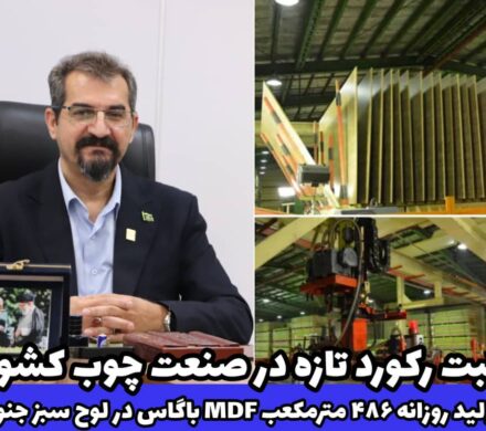 ثبت رکورد تازه در صنعت چوب کشور؛ تولید روزانه ۴۸۶ متر مکعبMDF از باگاس نیشکر در لوح سبز جنوب